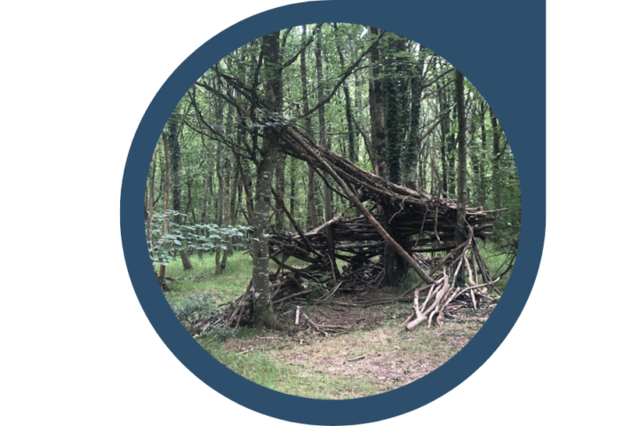 Construire sa cabane dans la forêt